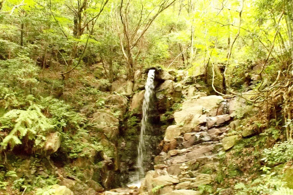 瀬戸,岩屋堂,川遊び