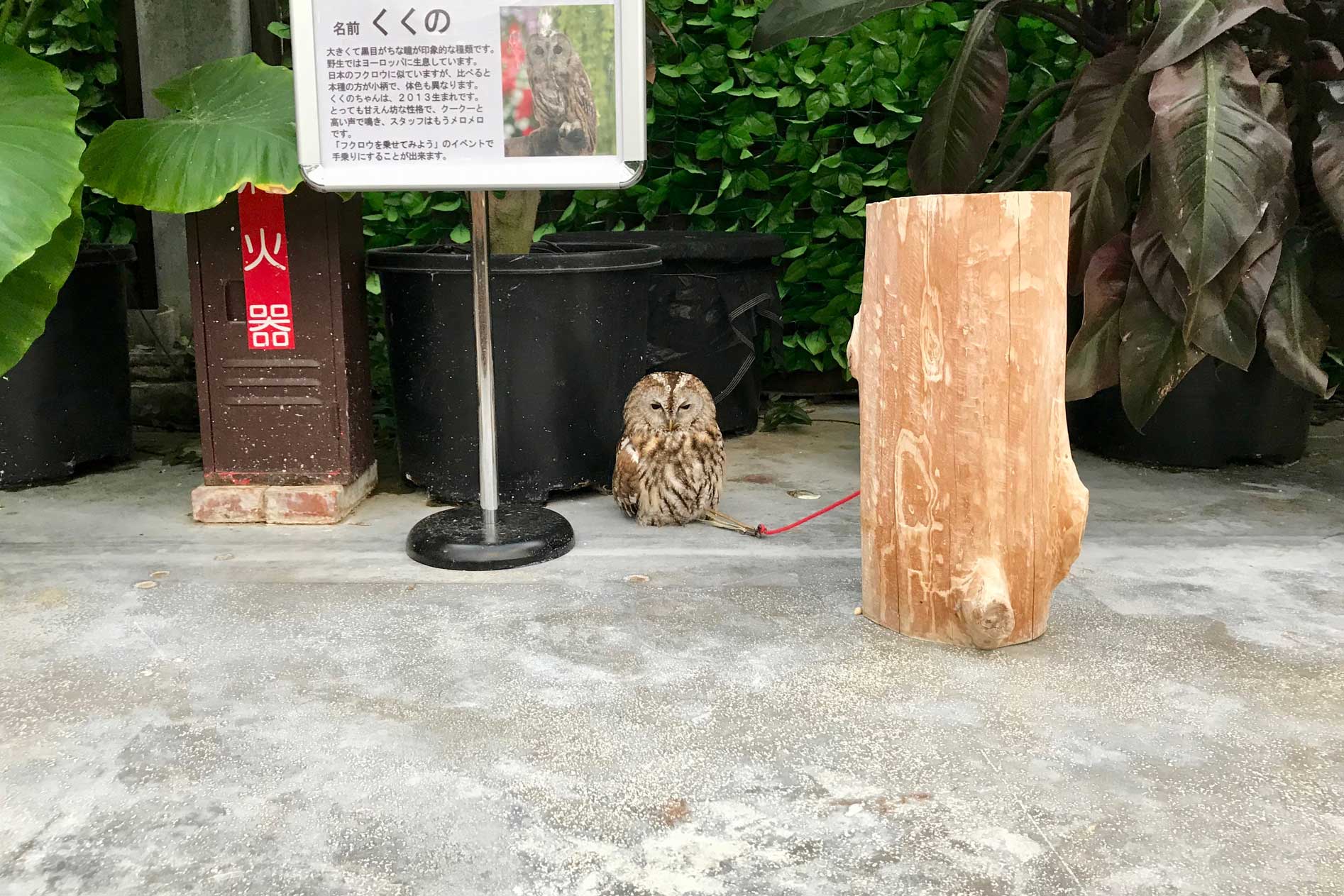 花鳥園