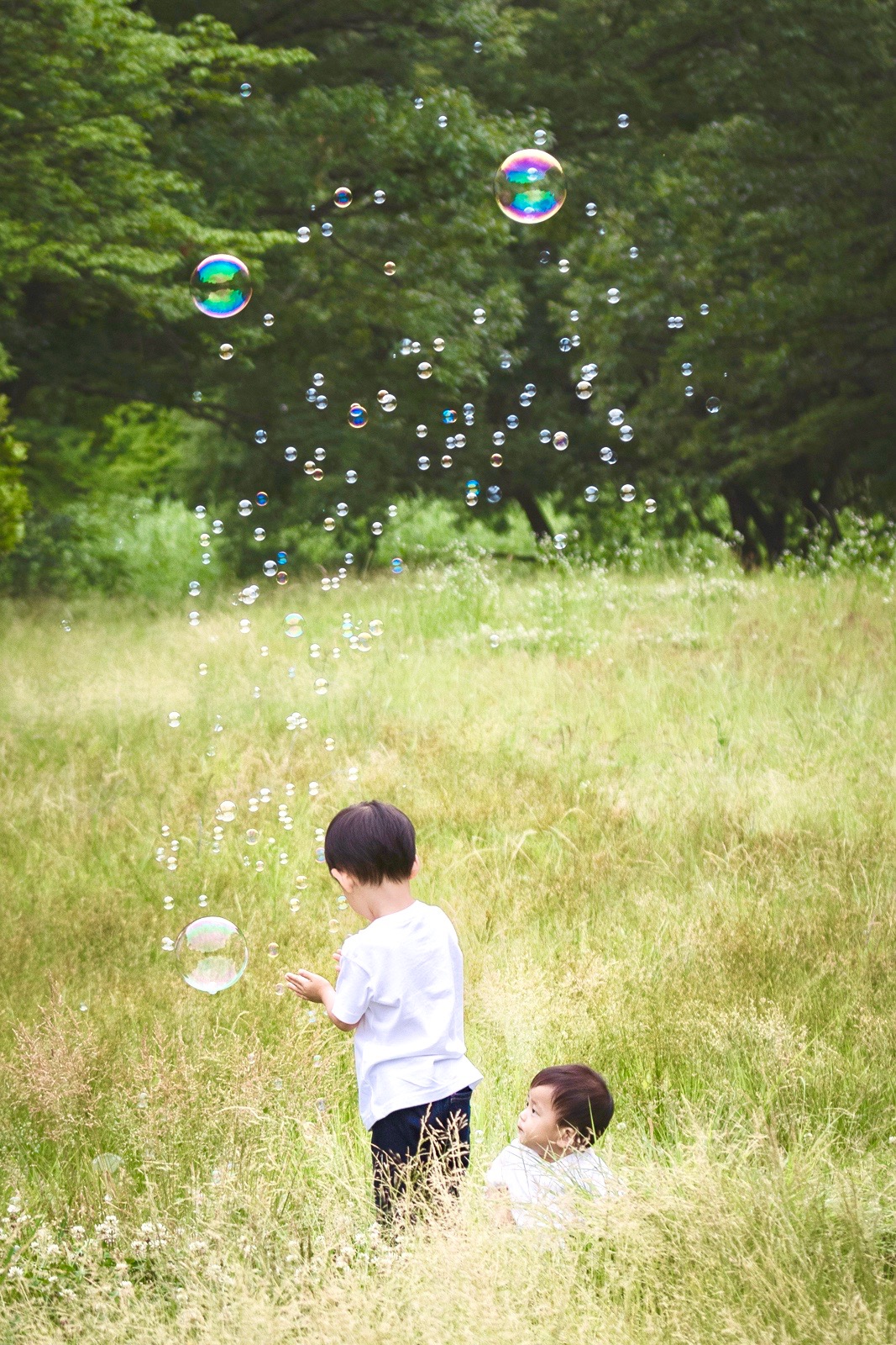 家族写真,岩田家,くせ毛