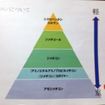 シャンプーやトリートメントに入っている、シリコンについてむちゃくちゃ詳しく調べた結果。