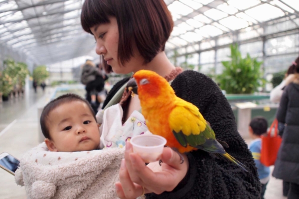 子供,花鳥園,東海ドライブ