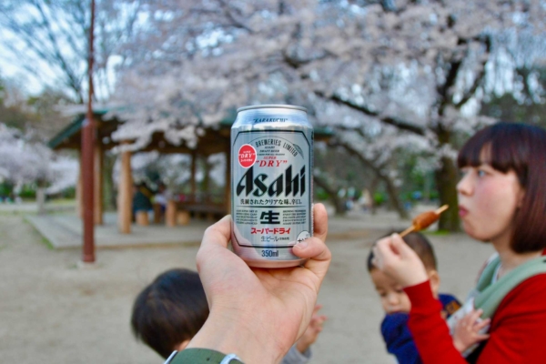 名城公園,花見,桜