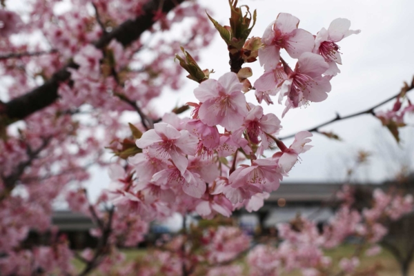 名古屋,名駅,美容室